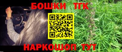гидропоника Кингисепп