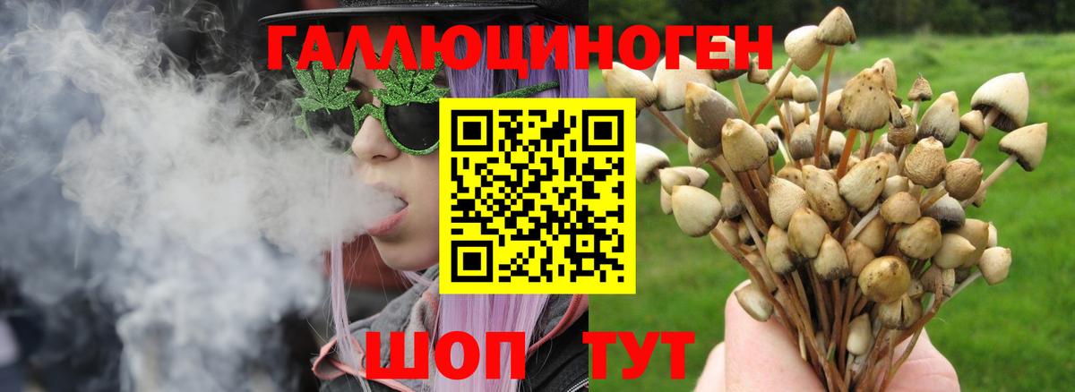 Галлюциногенные грибы ЛСД Вологда