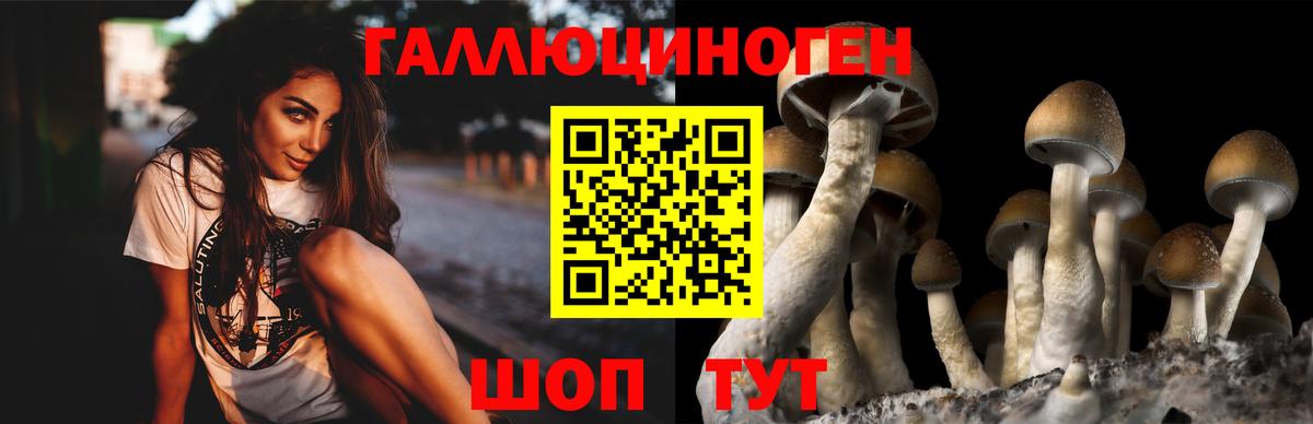 Галлюциногенные грибы Psilocybine cubensis  Вход с VPN  Псилоцибиновые грибы GOLDEN TEACHER  Вологда 
